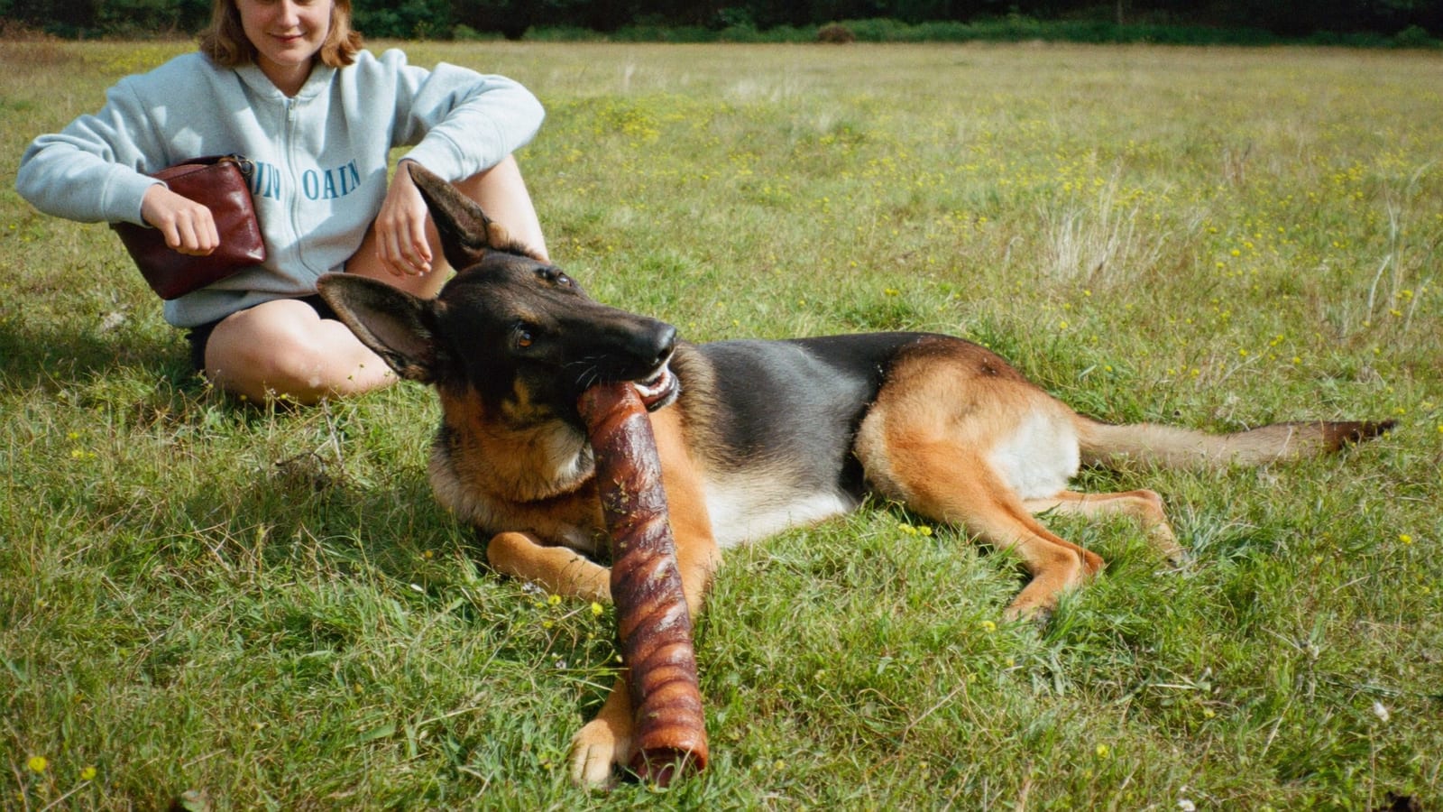 Owczarek niemiecki leży w wysokiej trawie na łące i gryzie ciemny suszony gryzak, za nim siedzi opiekunka