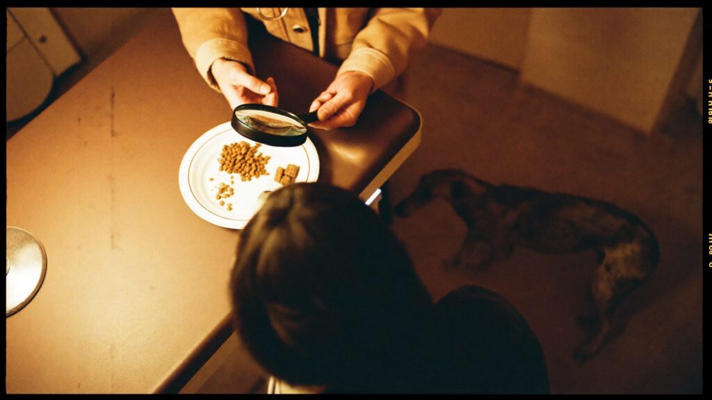 Weterynarz ogląda przez lupę karmę i przysmaki na talerzu, obok na podłodze leży chart w polarze