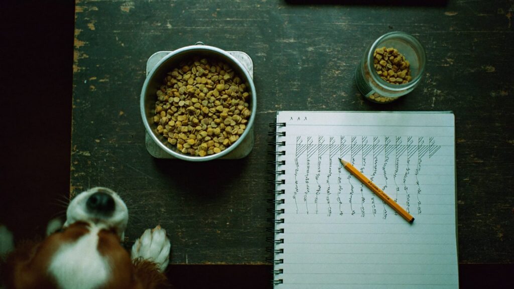 Miska karmy na wadze kuchennej na dębowym stole, obok notes, ołówek i słoik, z rogu zagląda cocker spaniel
